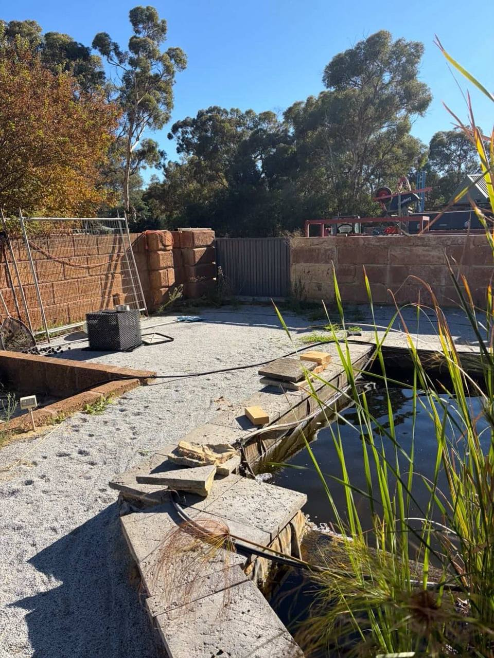 Backyard before installation